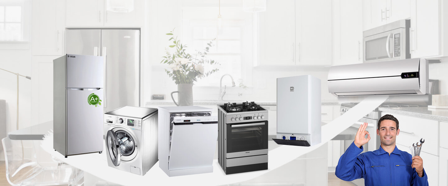 Erdek Silverline Servisi